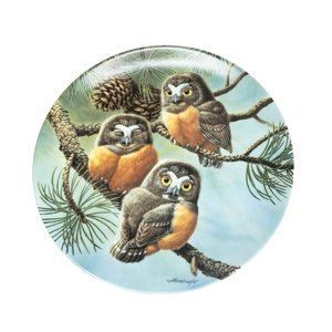 Limited Edition "Forty Winks: Saw-Whet Owls" Plate by Joe Thornbrugh - Bradford